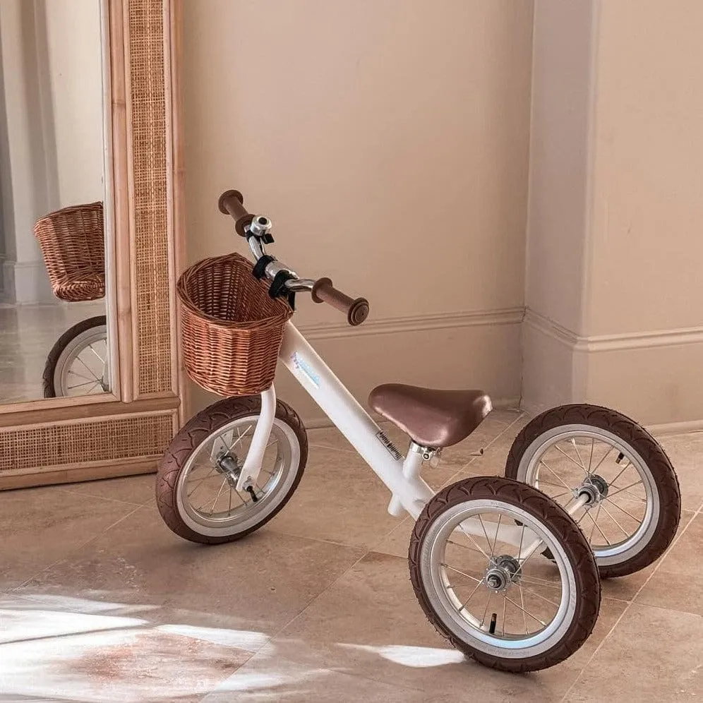 Steel 2 in 1 Trike with Carry Strap Bundle