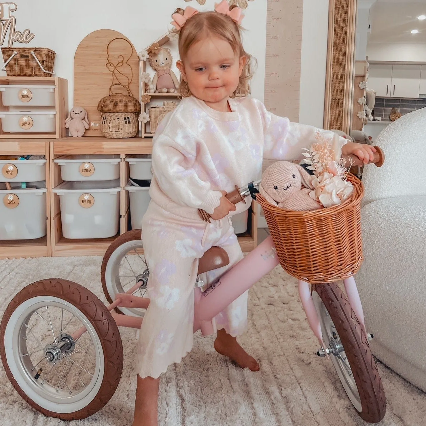 Steel 2 in 1 Trike with Carry Strap Bundle