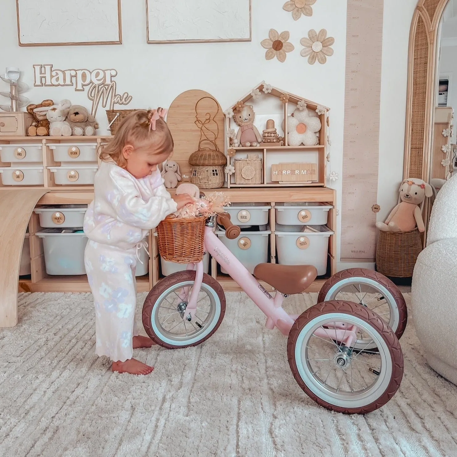 Steel 2 in 1 Trike with Carry Strap Bundle