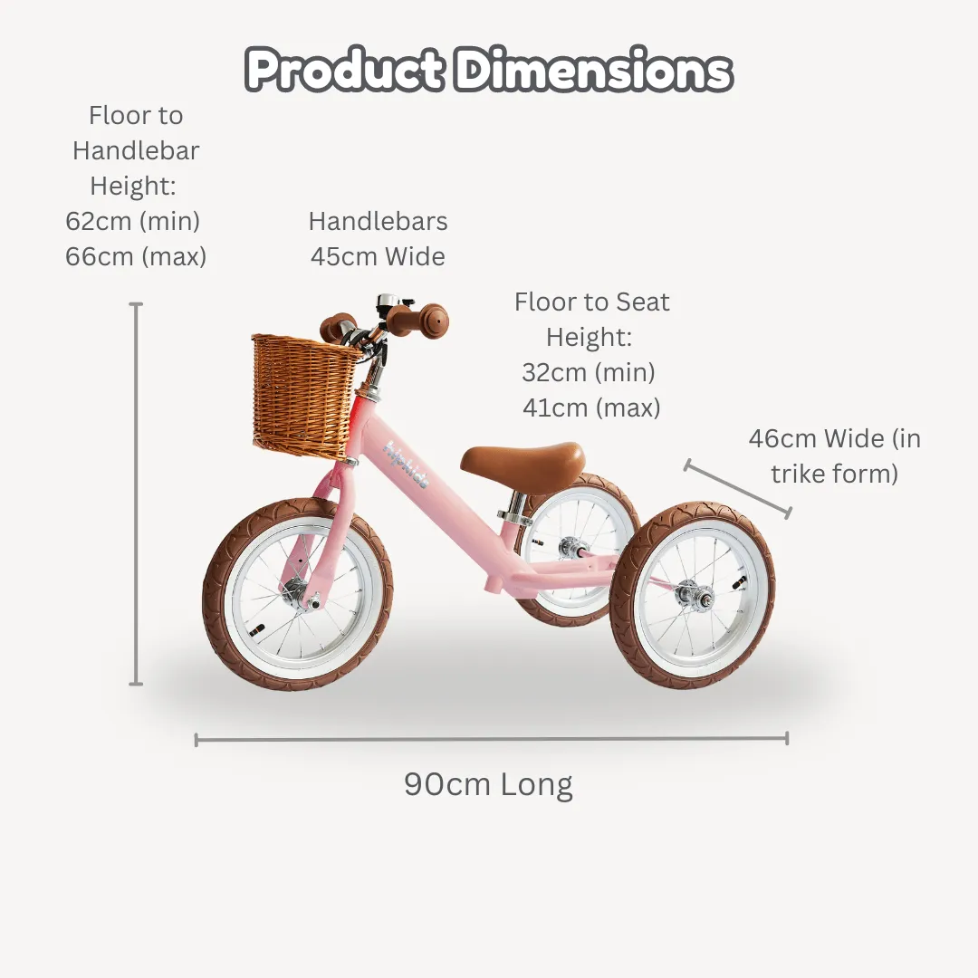 Steel 2 in 1 Trike with Carry Strap Bundle