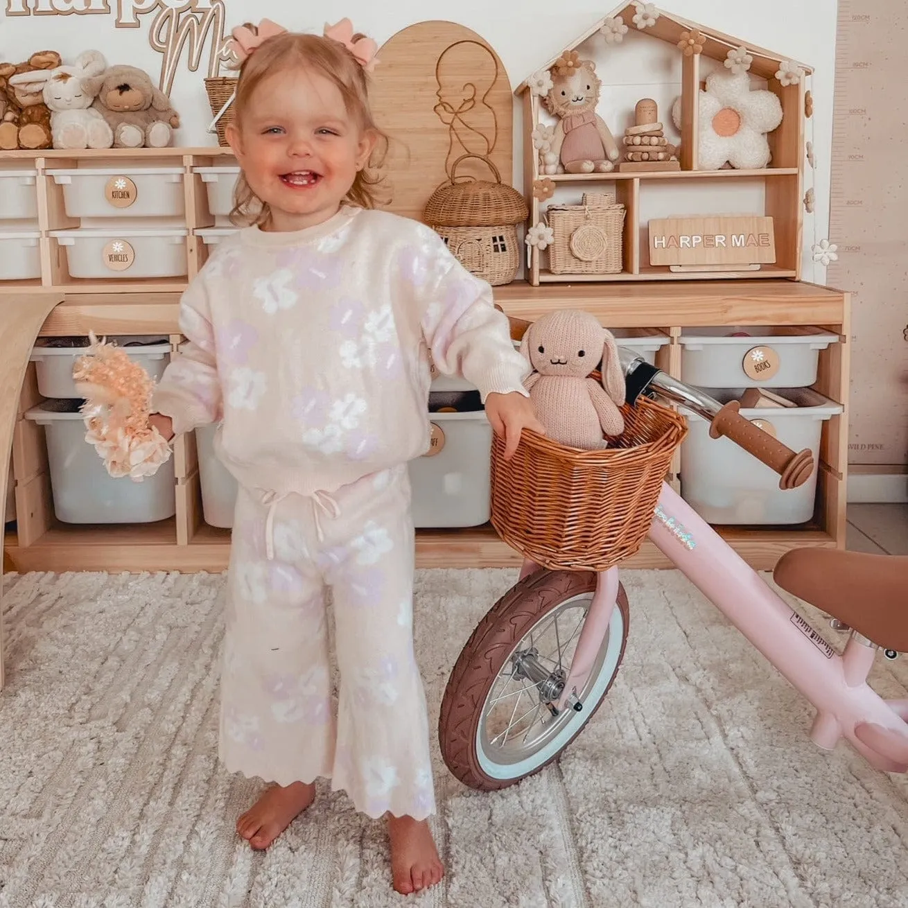 Steel 2 in 1 Trike with Carry Strap Bundle