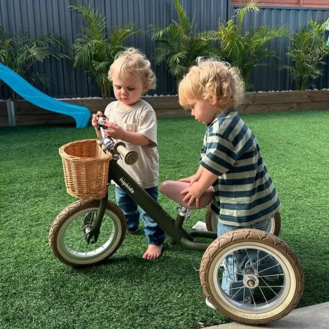 Steel 2 in 1 Trike with Carry Strap Bundle