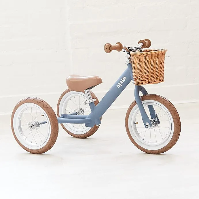 Steel 2 in 1 Trike with Carry Strap Bundle
